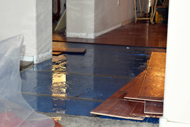 Professional Water Extraction technician working in New Era, MI